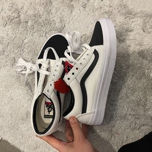 NWT Custom Vans